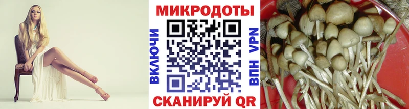 Псилоцибиновые грибы MAGIC MUSHROOMS  Купить где  Покров 